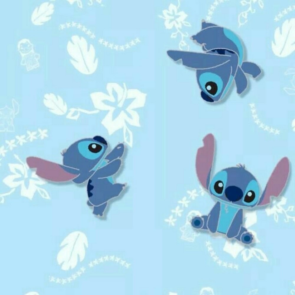 Meet your Posher, Yazmin